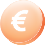 Euro icon